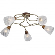 Потолочная люстра Lussole Lgo LSP-0083