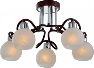 Потолочная люстра Lussole Lgo LSP-0148