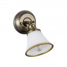 Спот FR2272-WL-01-BS