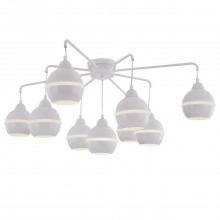 Потолочный светильник FR5004CL-09W