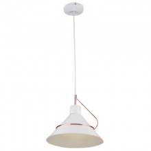 Подвесной светильник FR5025PL-01W