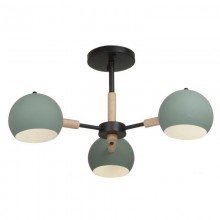 Потолочный светильник FR5032CL-03B