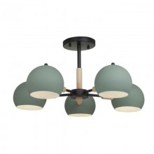 Потолочный светильник FR5032CL-05B