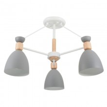 Потолочный светильник FR5033CL-03W