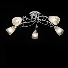 Потолочный светильник FR5684CL-05CH