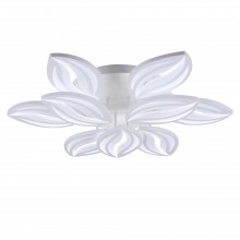 Потолочный светильник FR6013CL-L157W