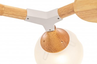 Потолочный светильник FR5105CL-08W