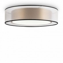 Потолочный светильник FR6005CL-L36G