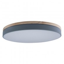 Накладной светильник LOFT IT 10001/36 Grey
