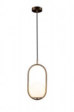 Подвесной светильник LOFT IT LOFT2595-A