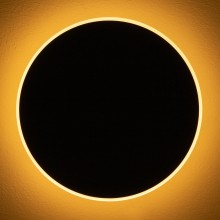 Настенный светильник (бра) FR6002WL-L20B