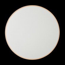 Настенный светильник (бра) FR6002WL-L20W