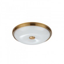 Накладной светильник Odeon Light 4956/4