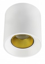 Накладной светильник Denkirs DK3090-WH+YE