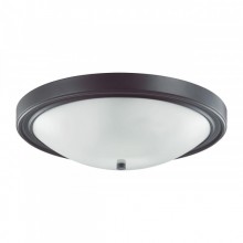Накладной светильник LUMION 5260/4C