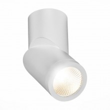 Влагозащищенный светильник ST-Luce ST650.542.10