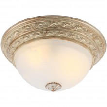 Потолочный светильник Arte Lamp Piatti A8013PL-2WA