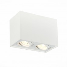 Накладной светильник ST-Luce ST109.507.02