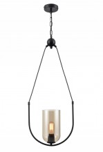 Подвесной светильник Vele Luce VL5812P01