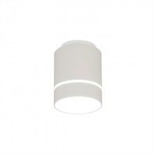 Накладной светильник Citilux CL745010N